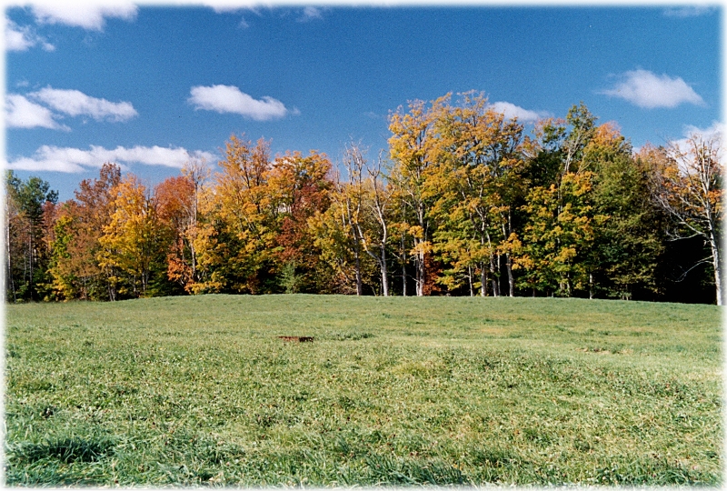 Landscape 3, New England America.jpg